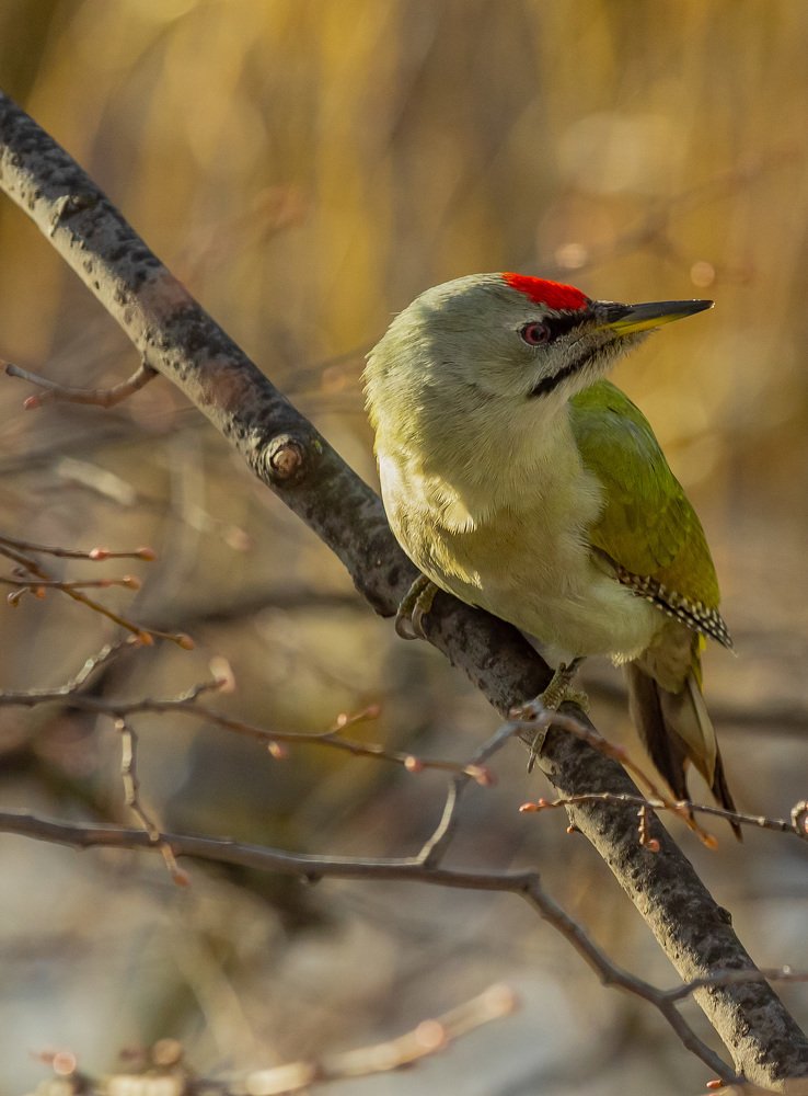 Photograph by Яна Толмачёва