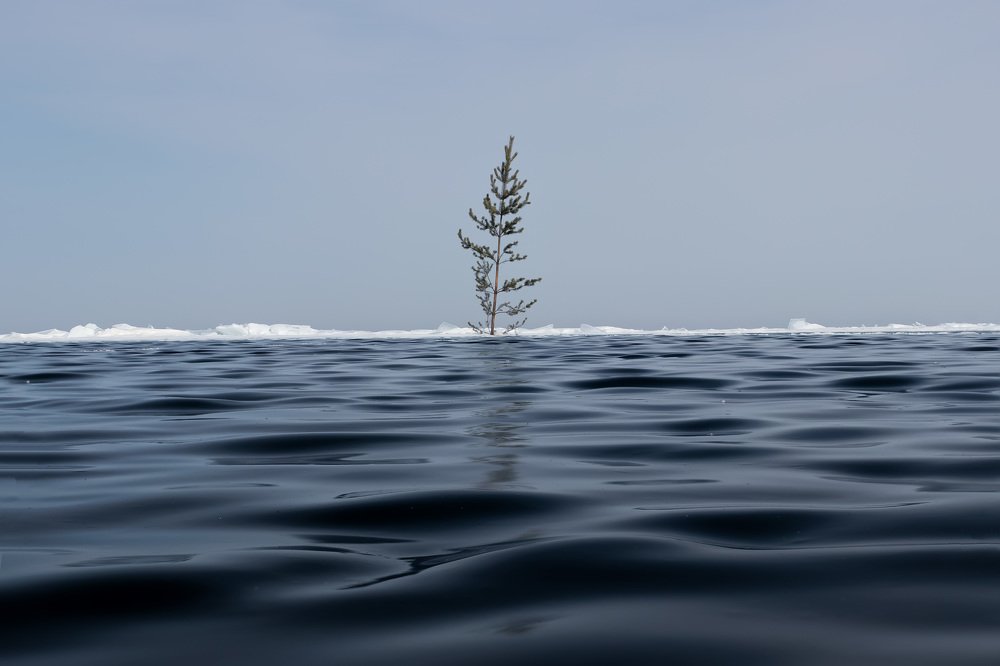 Photograph by Алексей Закиров