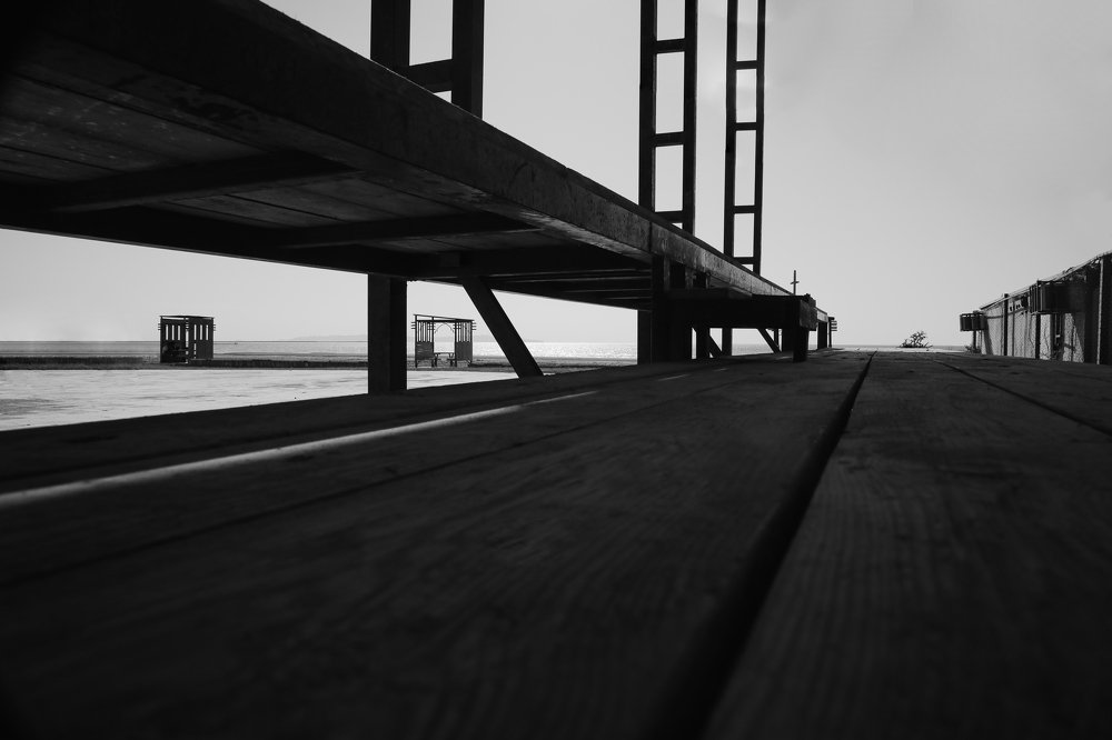 Photograph by Ali