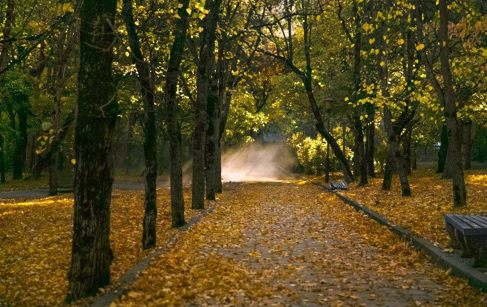 Фотография автора Анна Вигера