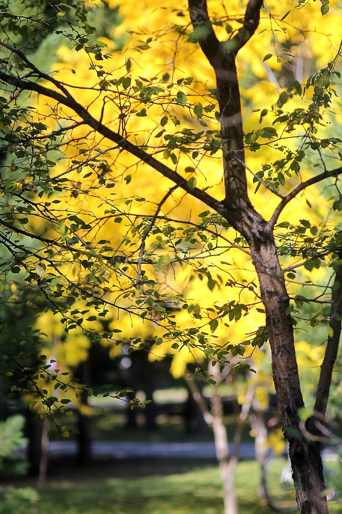 Photograph by Олеся Дроздова