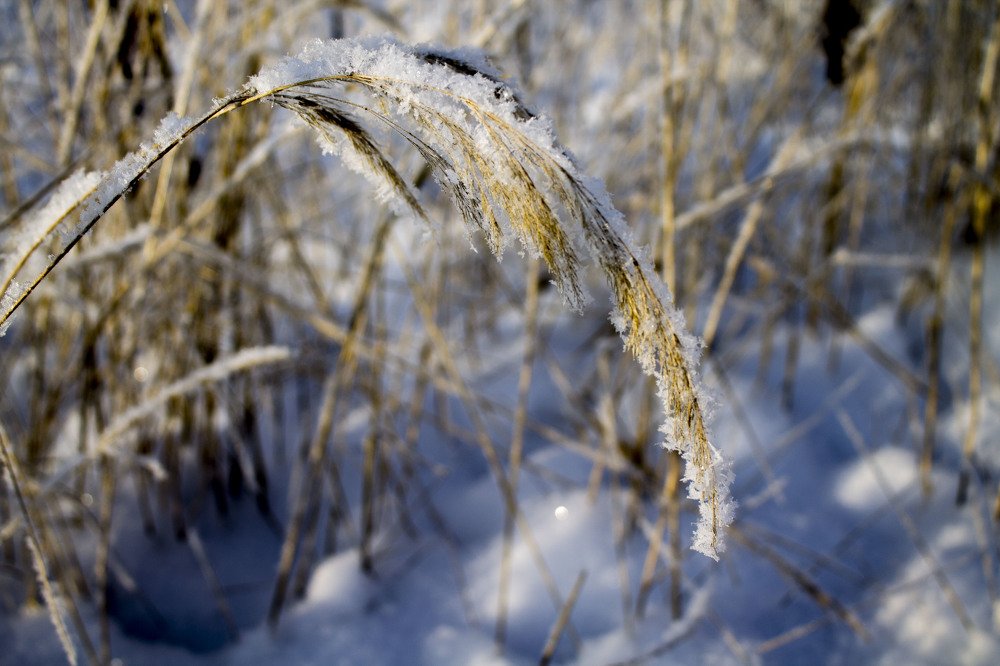 Photograph by Олеся Дроздова