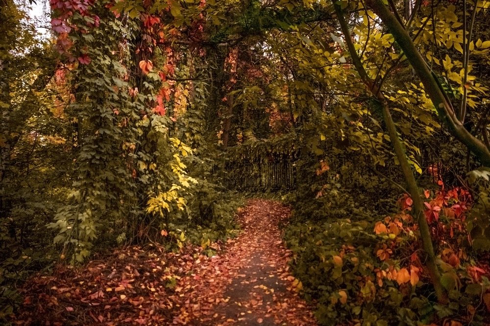 Фотография автора Анна Вигера