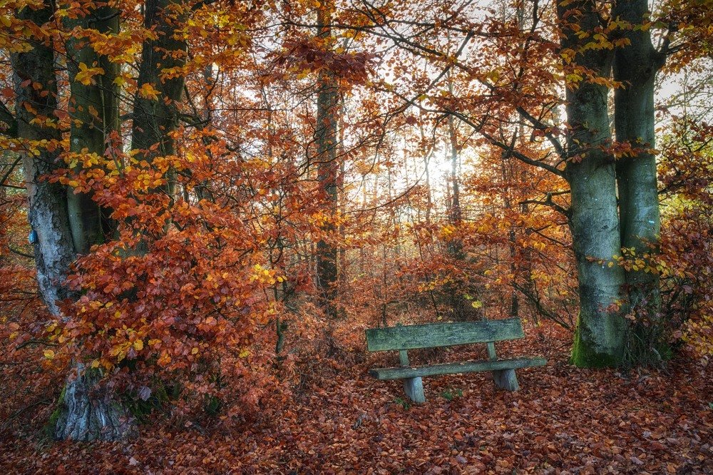 Photograph by Guy Krier