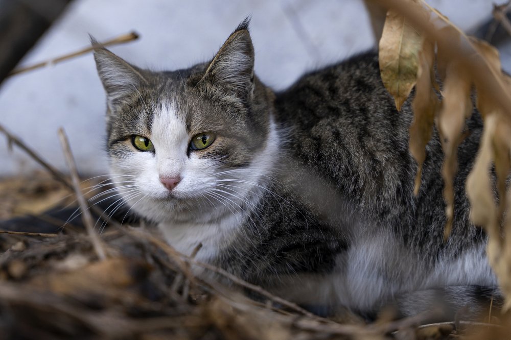 Photograph by Павел Сарвардинов