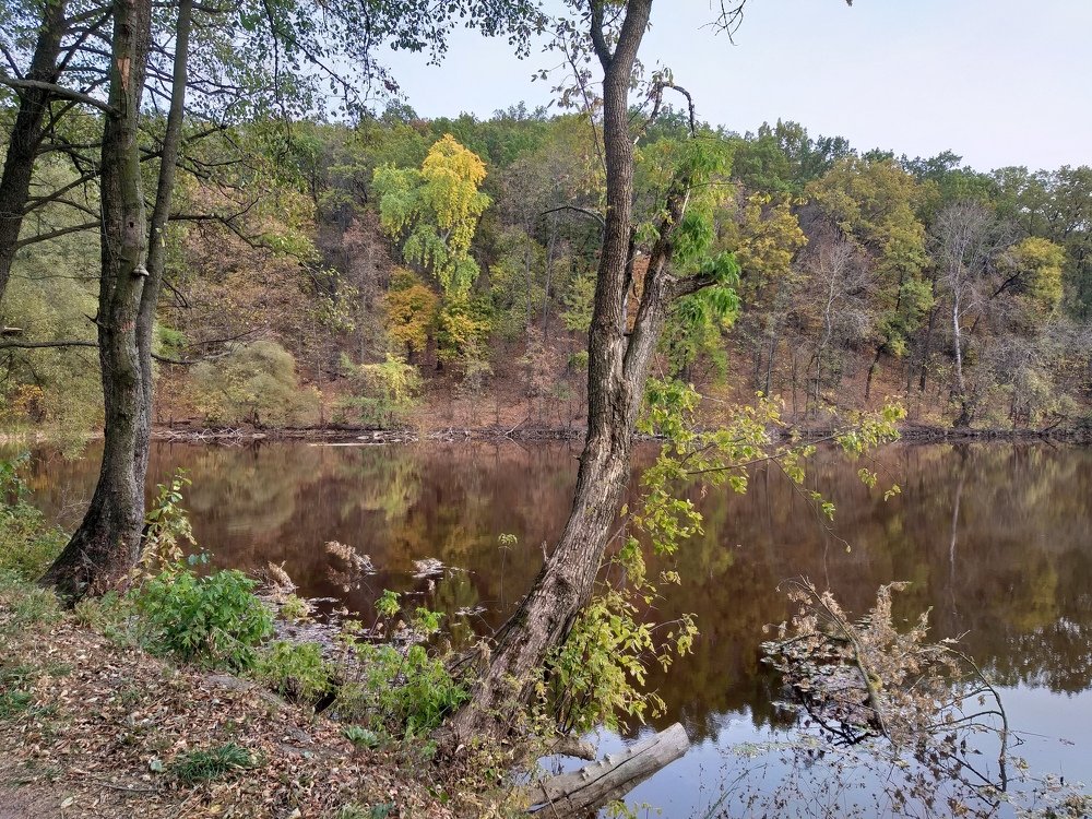 Photograph by Алексей Соболь