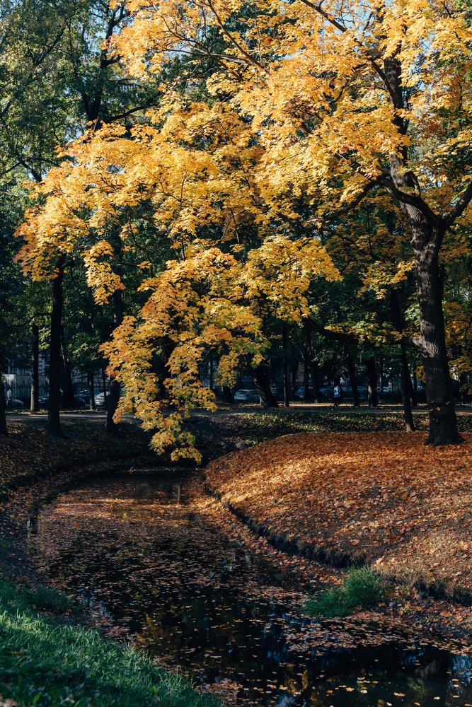 Photograph by Сергеева Марина