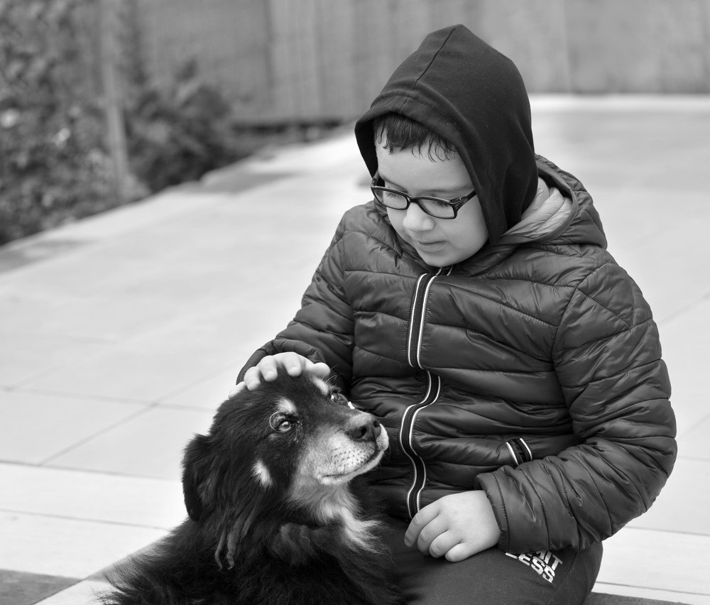 Фотография автора Анна Вигера