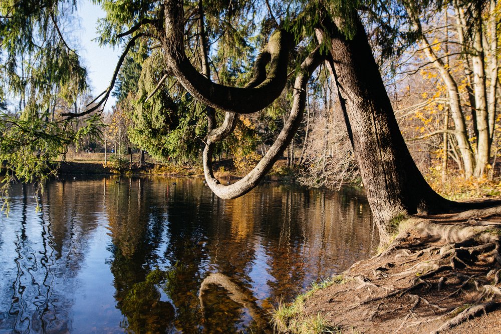 Photograph by Сергеева Марина