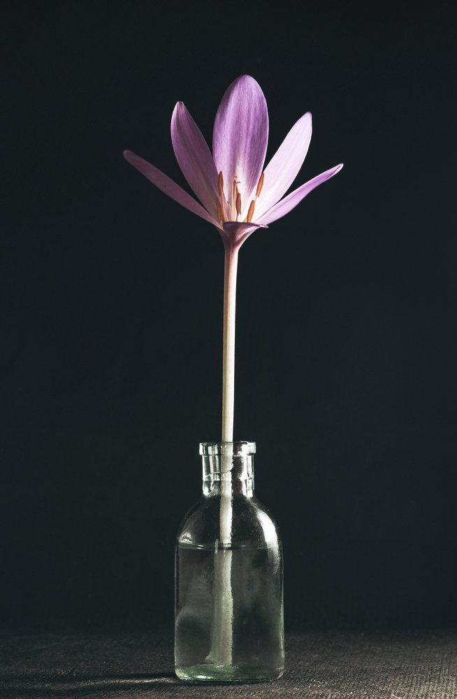 Photograph by Aliaksei Shandalin