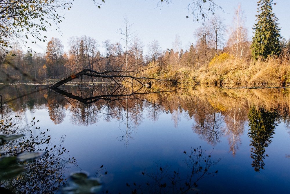 Photograph by Сергеева Марина