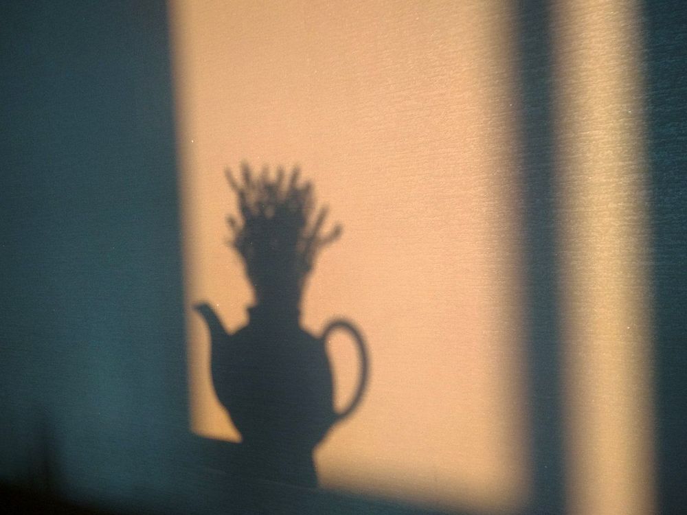 Photograph by Евгения Даниленко