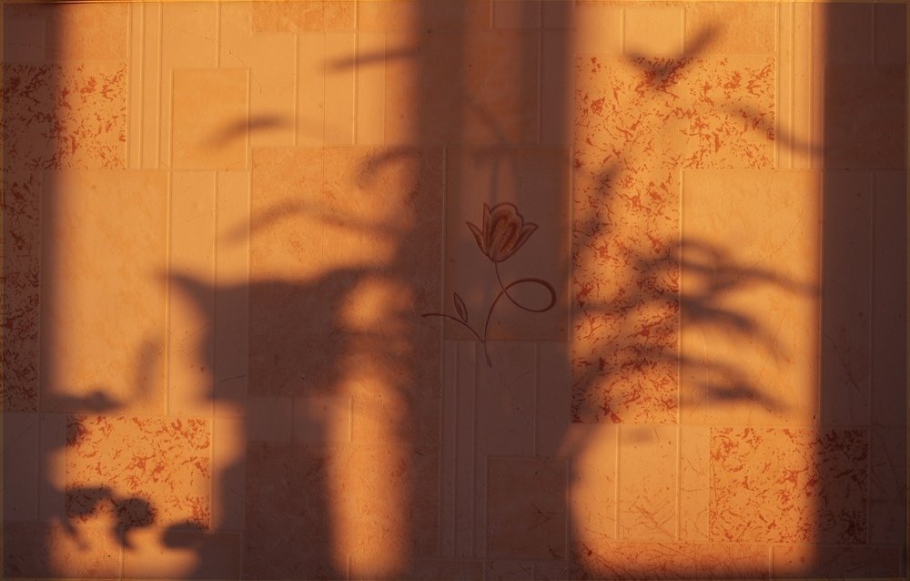 Photograph by Евгения Даниленко