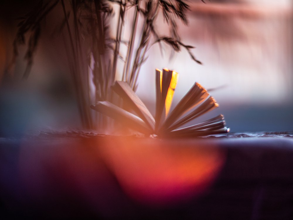 Photograph by Olga Rogozina