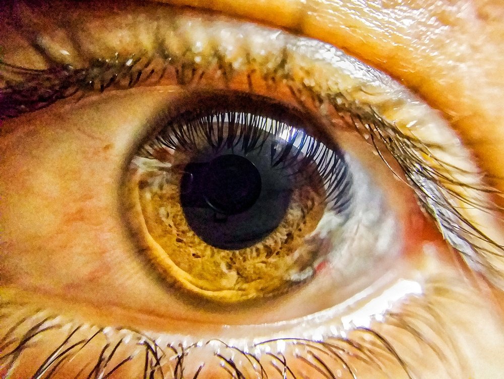 Photograph by Amin Hadadian