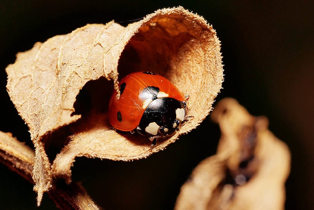 Photograph by Александр Либков