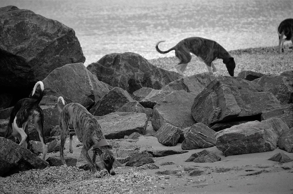 Photograph by Ann Stodolskaya