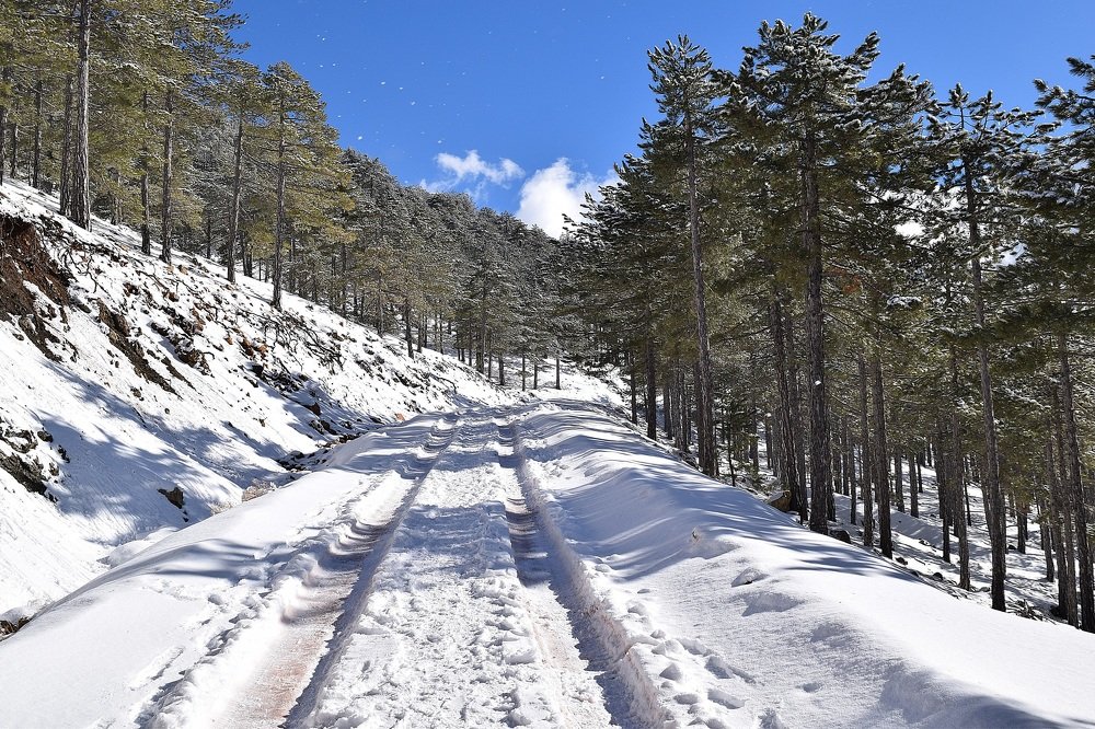 Photograph by Ирина Онер