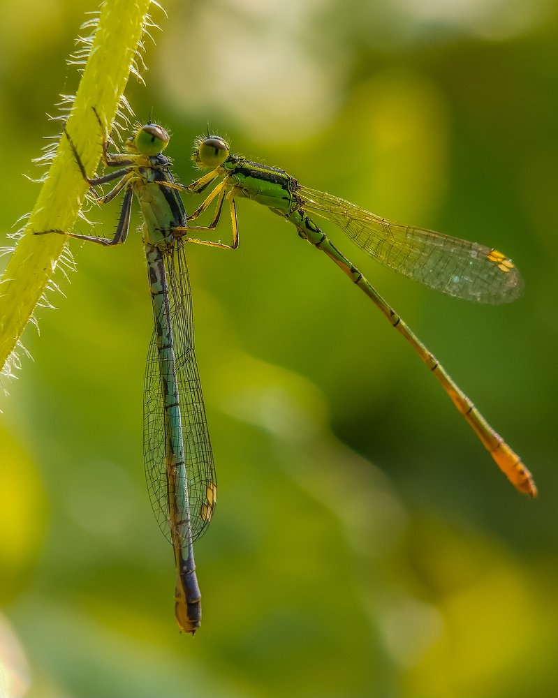 Photograph by Rahul Dey