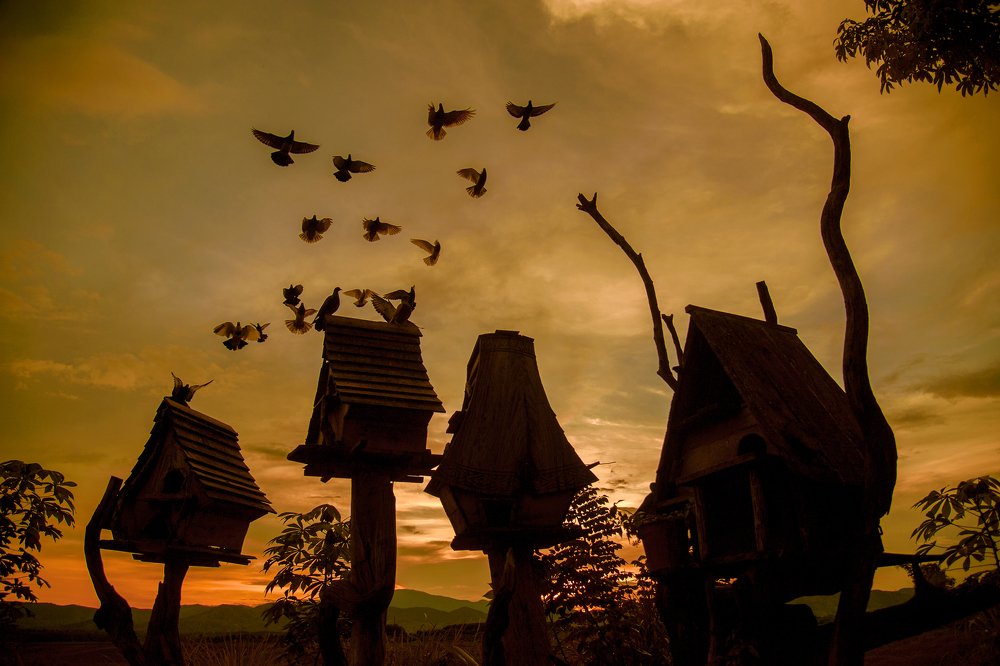 Photograph by HuyDang