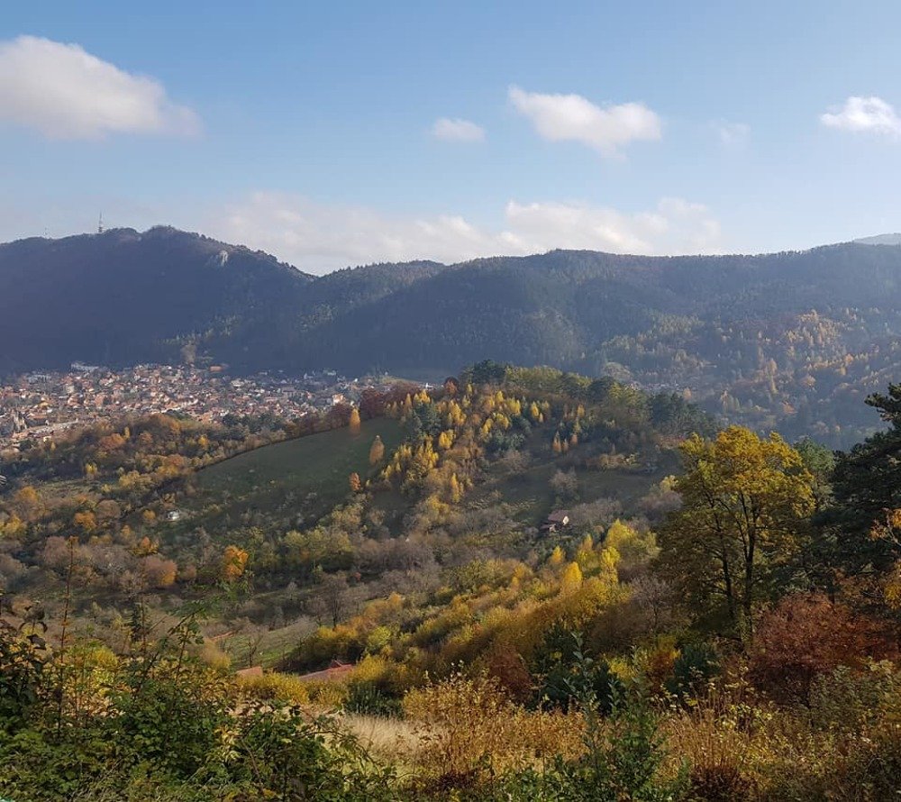 Photograph by rusenescu ramona