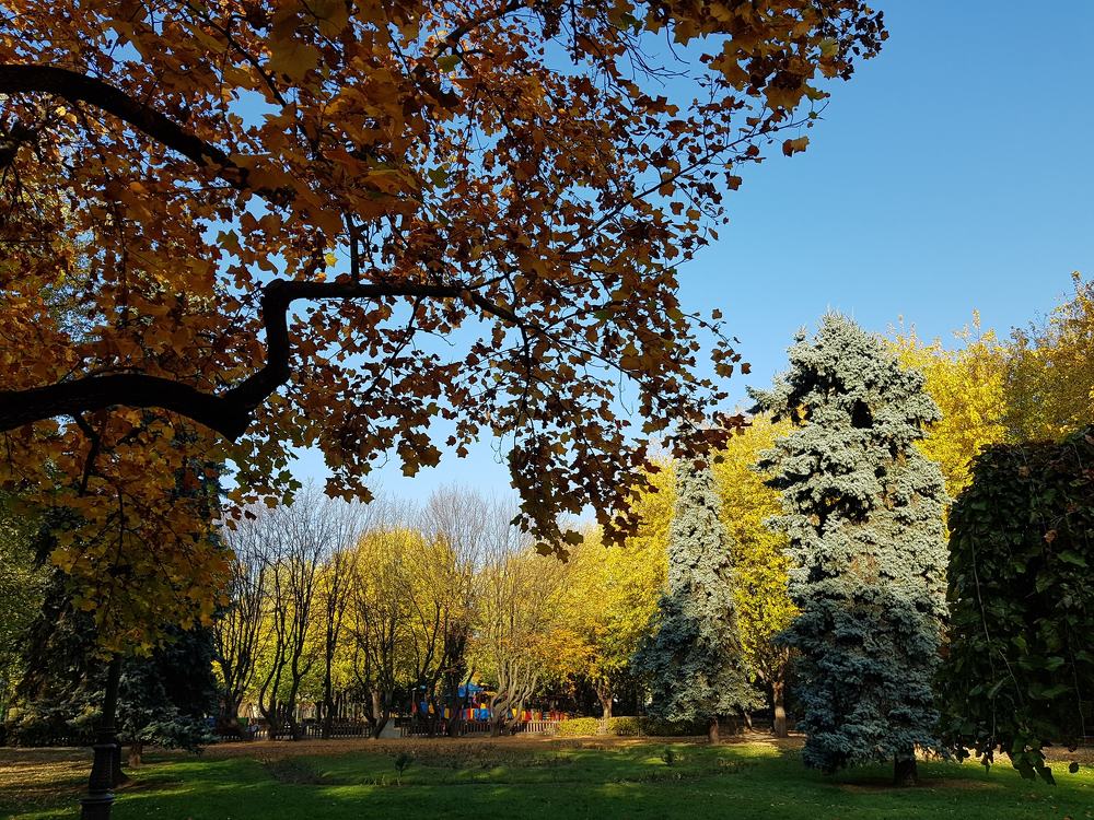 Photograph by rusenescu ramona