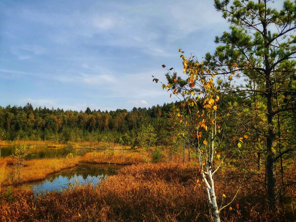 Photograph by Екатерина Ремез