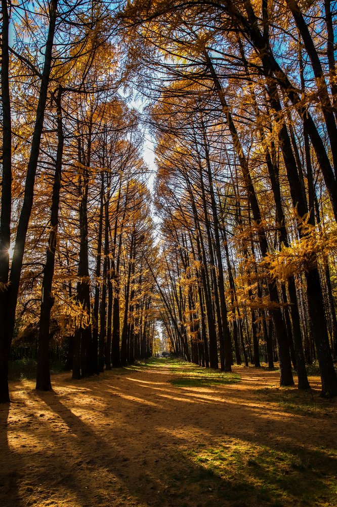 Photograph by Екатерина Лурина