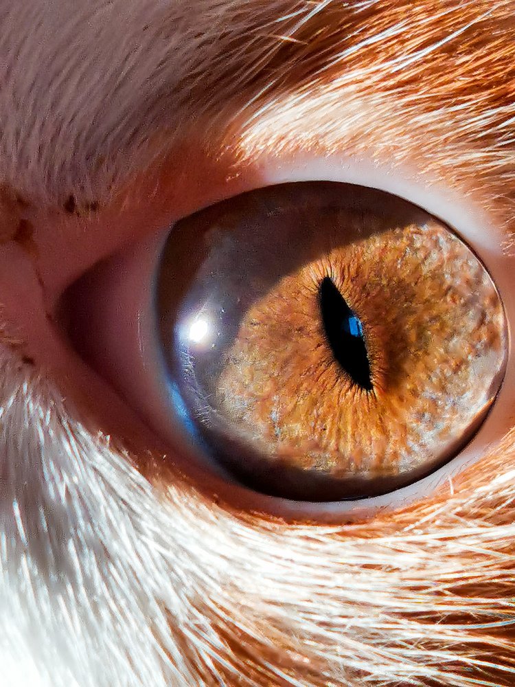 Photograph by Данил Батурин