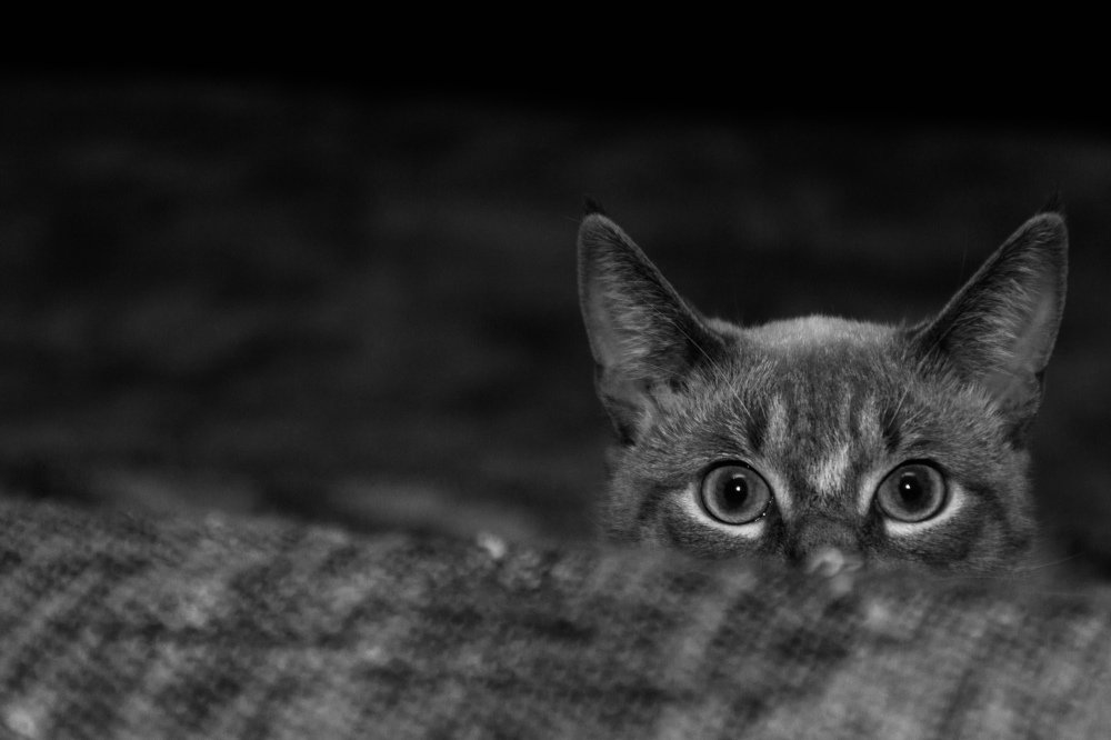 Photograph by Инесса Юровских