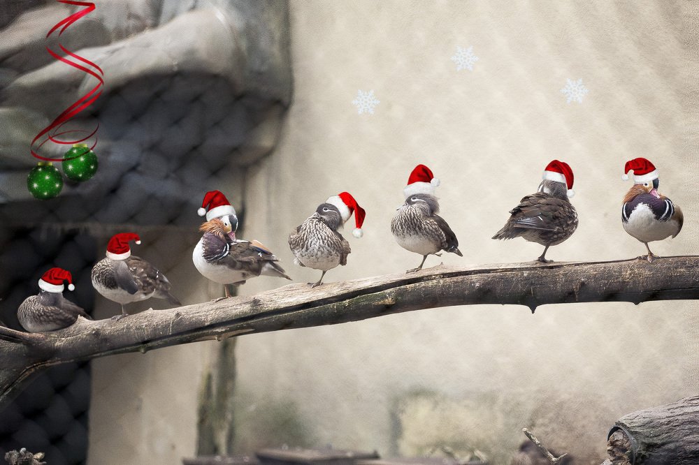 Photograph by Наталья Румянцева