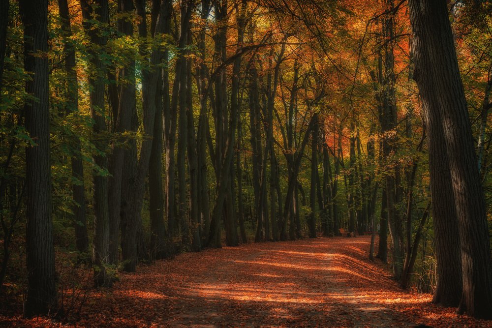 Photograph by Владимир Брагилевский