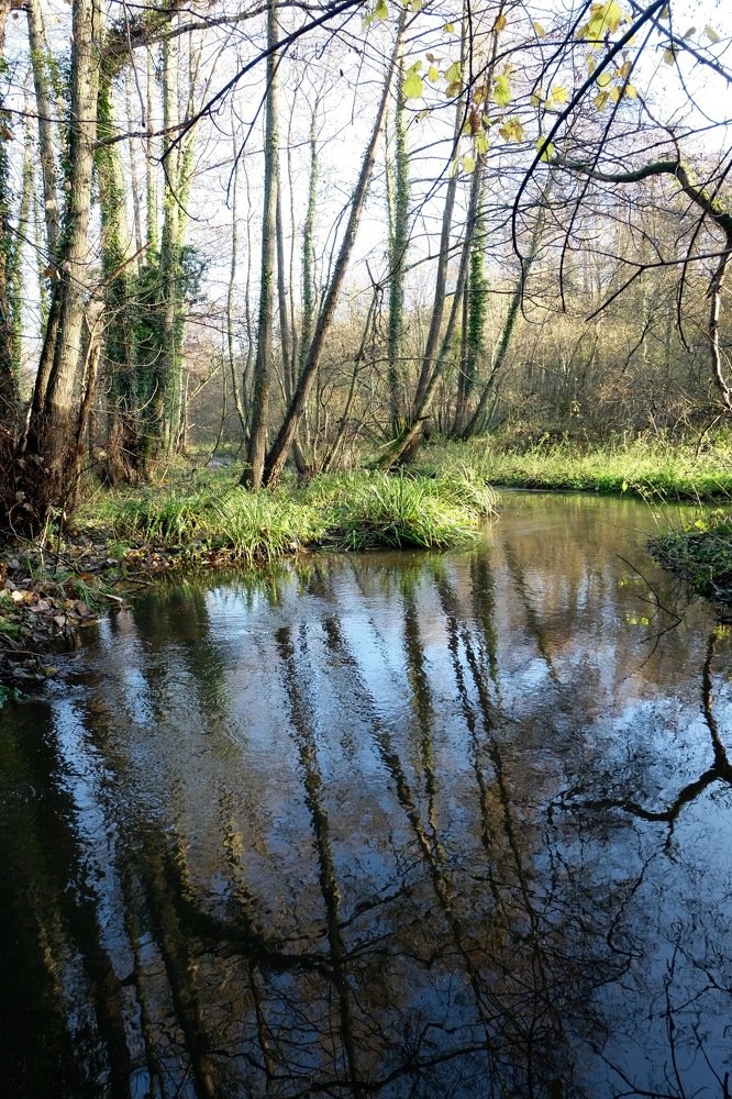 Photograph by Elizabeth Allen