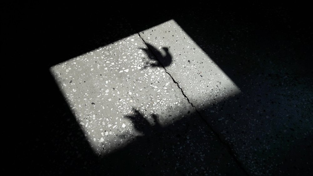 Photo #5352996