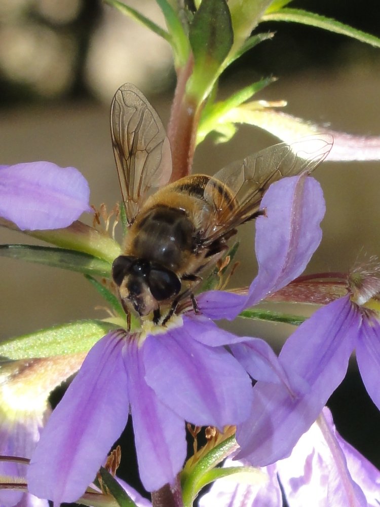 Photograph by Arkady Sandler
