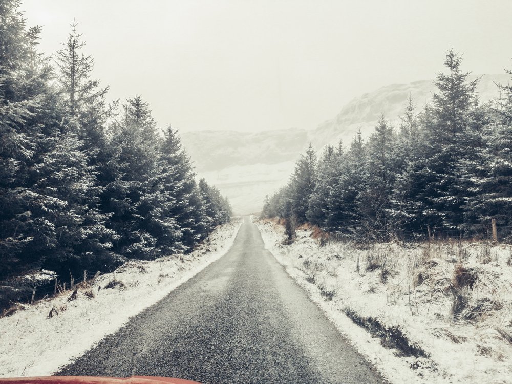 Photograph by Avril Glavin