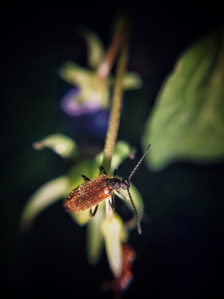 Photograph by Екатерина Ремез