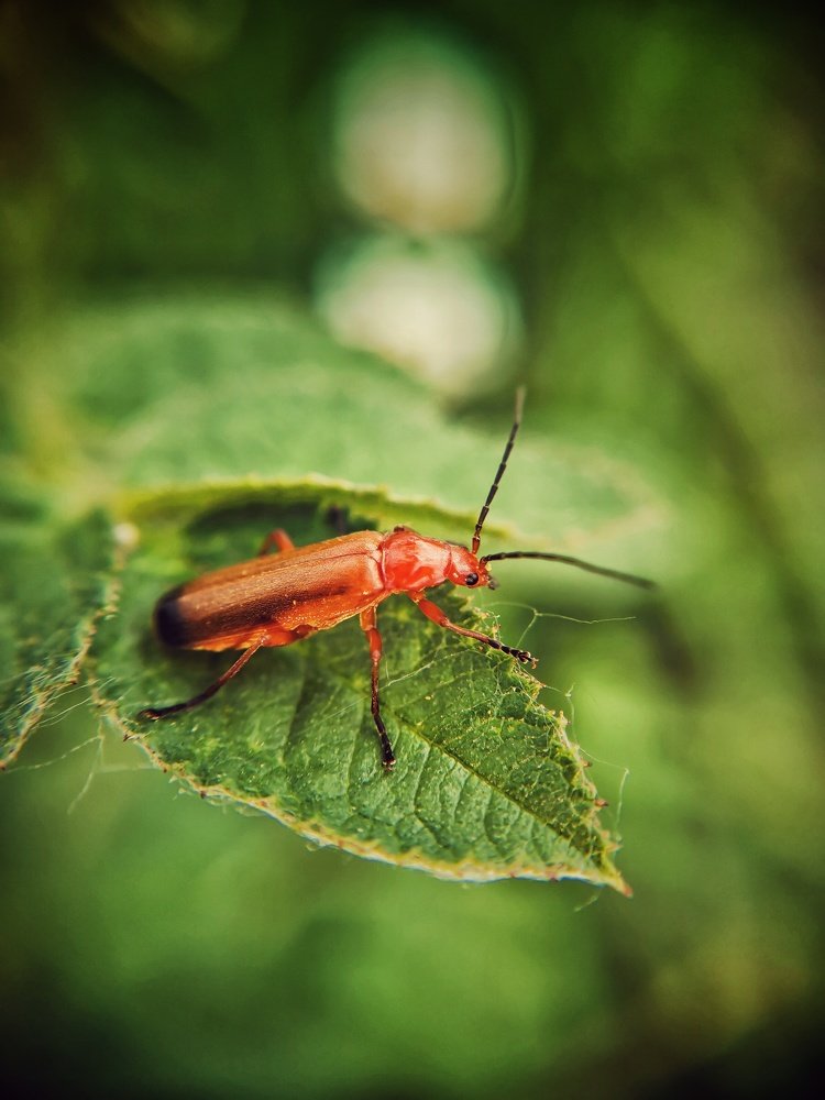 Photograph by Екатерина Ремез