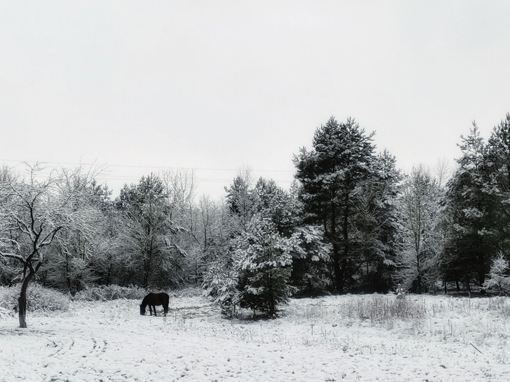 Photograph by Екатерина Ремез