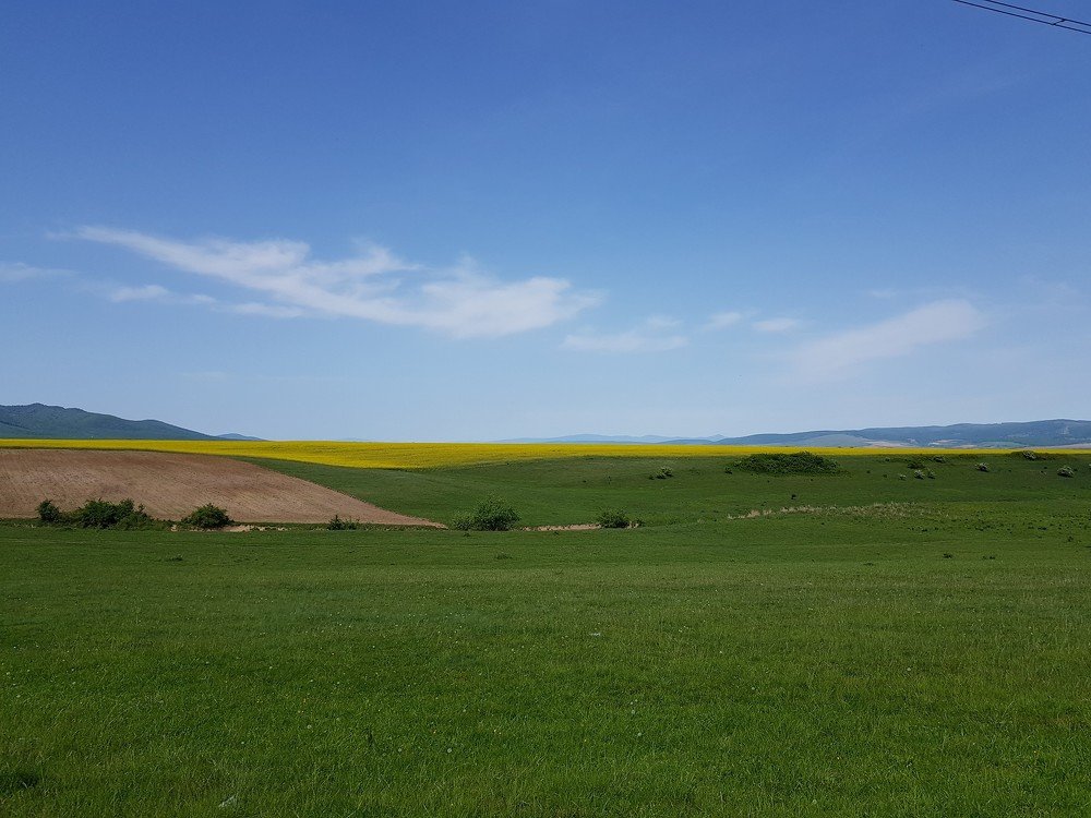 Photograph by rusenescu ramona