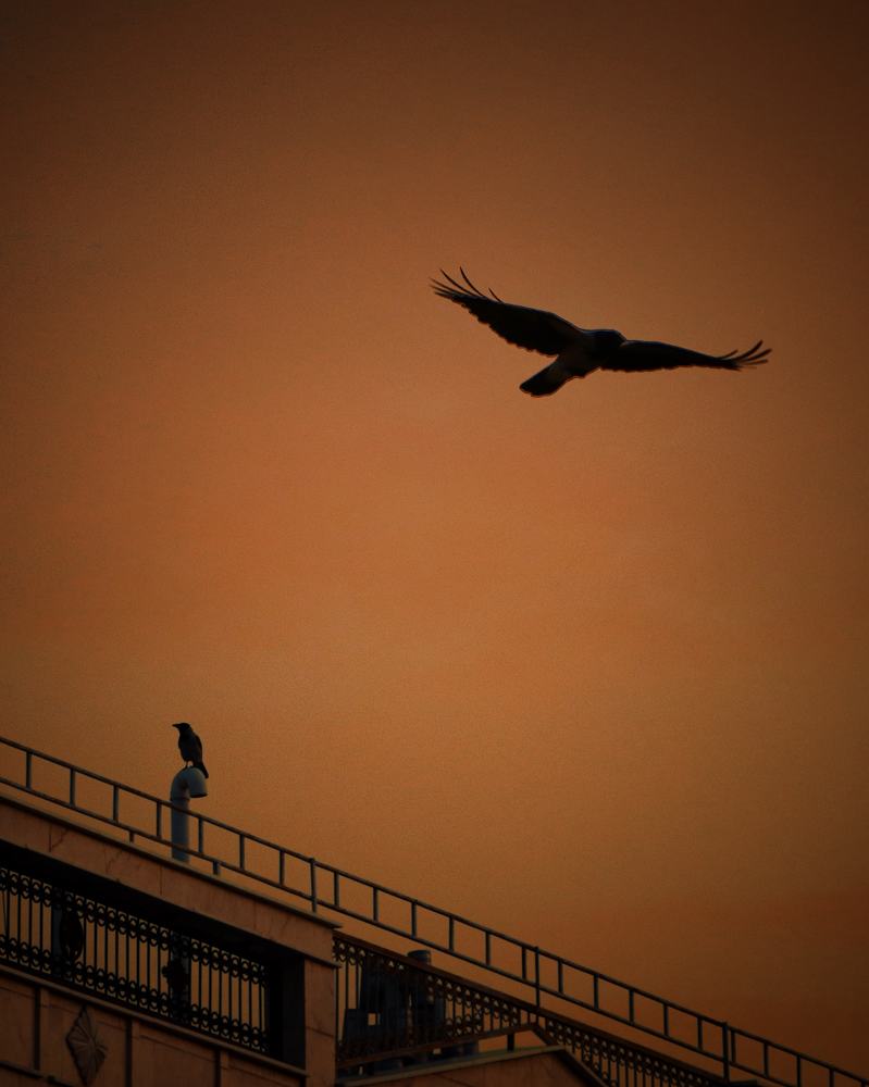 Photograph by Smat Noori