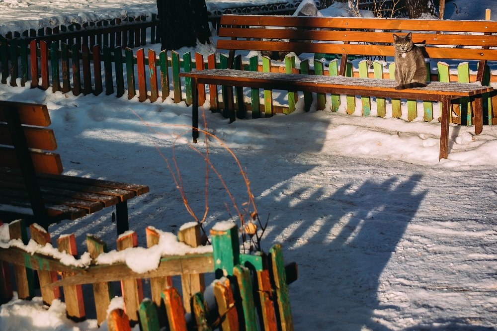 Photograph by Евгений Пивкин