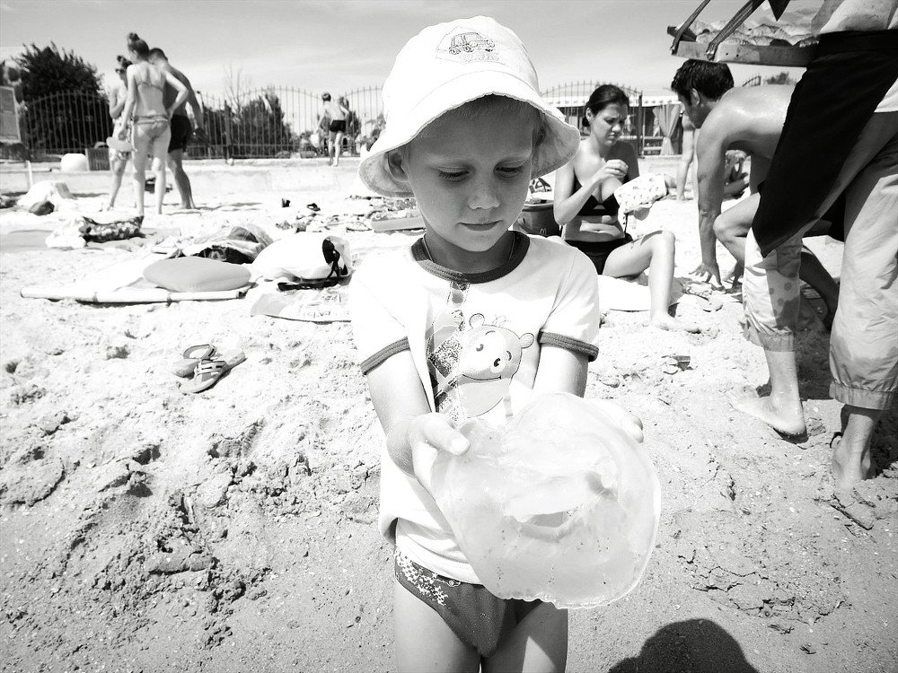 Photograph by ЭЛЬМИРА  ИСМАИЛОВА