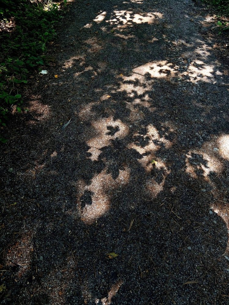 Photograph by Наталья Гайдар