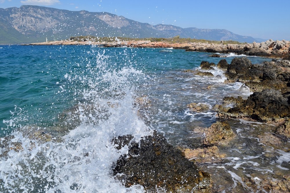 Photograph by Ирина Онер