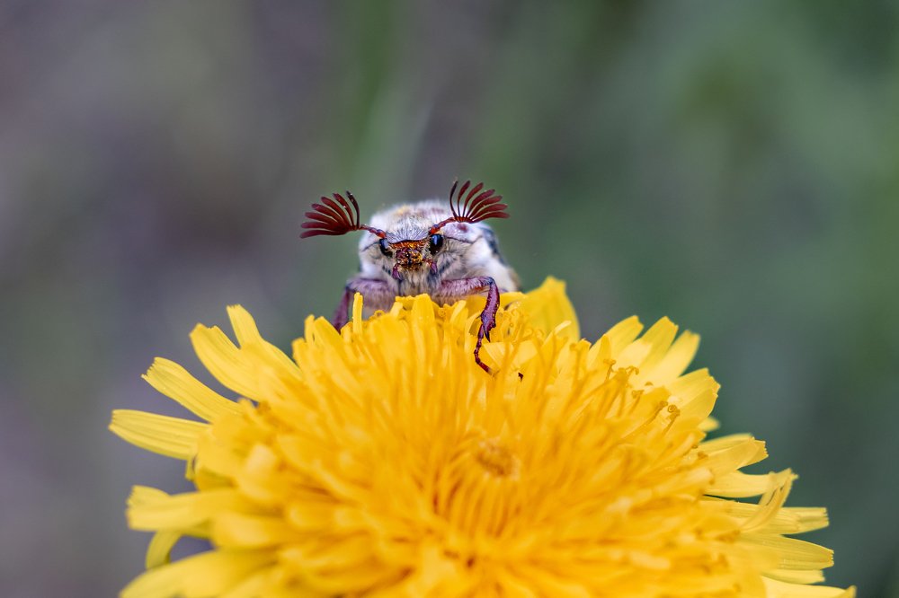 Photograph by Алена Жогалович
