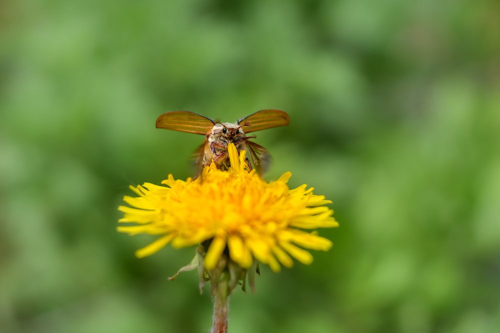 Photograph by Алена Жогалович