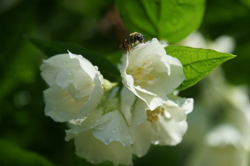Photograph by Алексей Прохоров