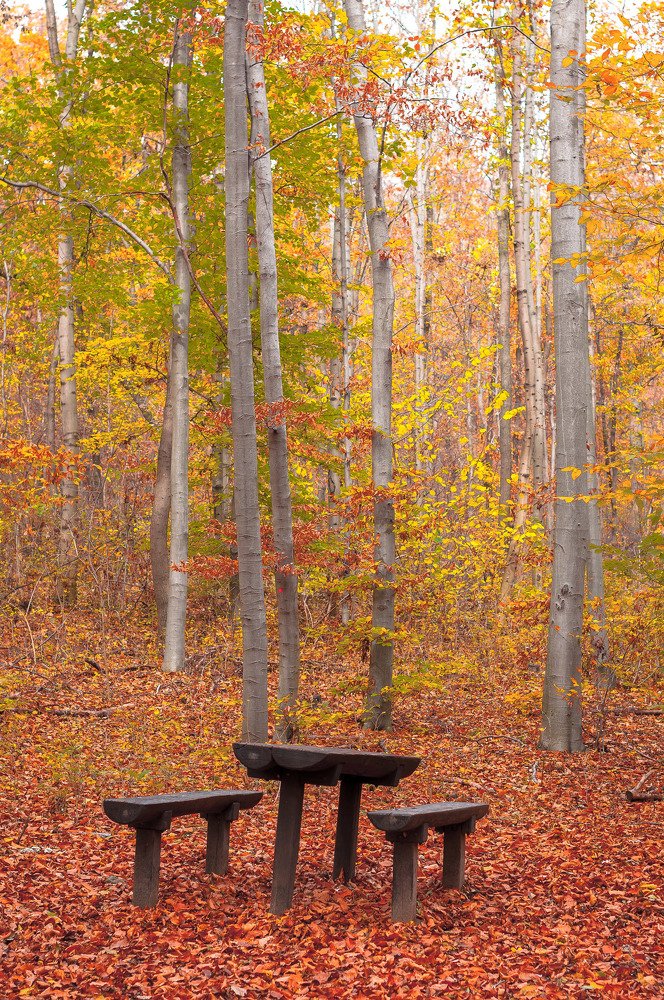 Photograph by Елена Венкова