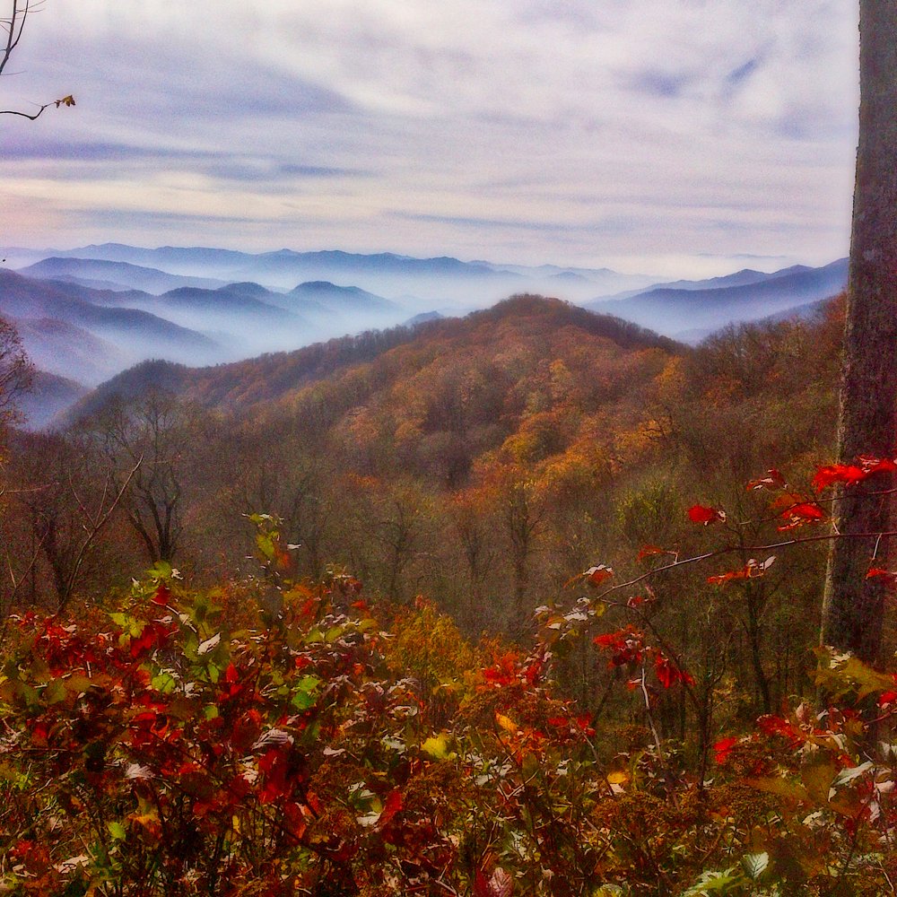 Photograph by Art Bisschop